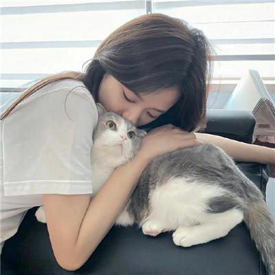分家总动员